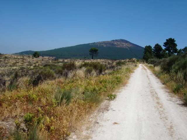 photo CIMG9276_zps7cef3242.jpg