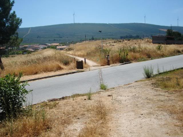 photo CIMG9278_zps84d9e4a7.jpg