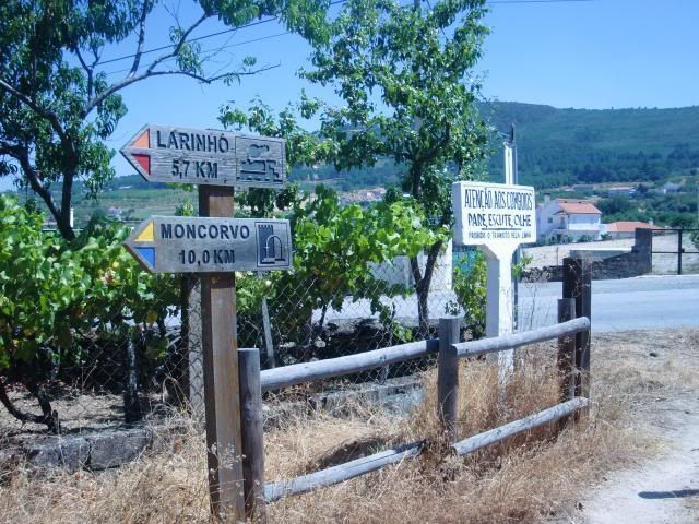 photo CIMG9279_zpsa11bcd62.jpg