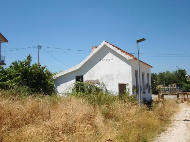 photo CIMG9282_zps56d19828.jpg