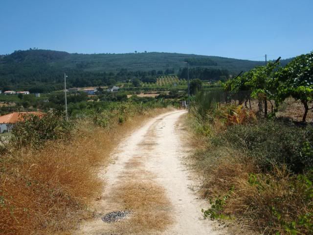 photo CIMG9283_zpsf4da58fe.jpg