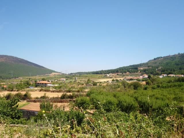 photo CIMG9285_zps66a10baa.jpg