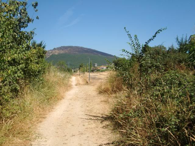 photo CIMG9287_zpsd2436cf2.jpg