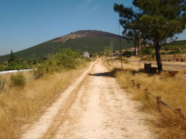 photo CIMG9288_zpseaab52a4.jpg