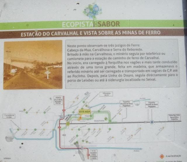 photo CIMG9289_zps411f6984.jpg