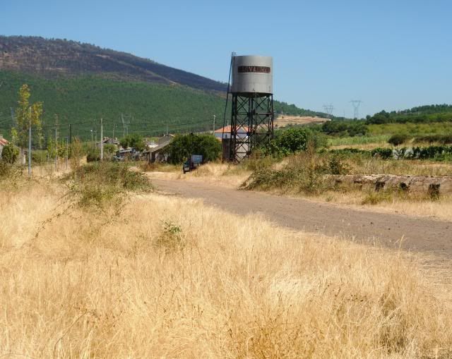 photo CIMG9292_zps717bab1e.jpg