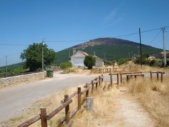 photo CIMG9294_zps6aee2f86.jpg