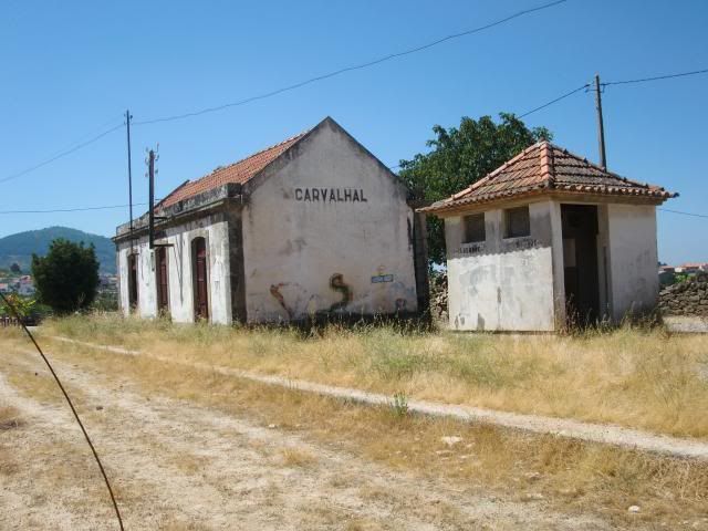 photo CIMG9299_zps77320e66.jpg