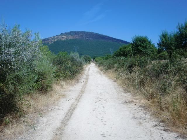 photo CIMG9302_zps86deb187.jpg