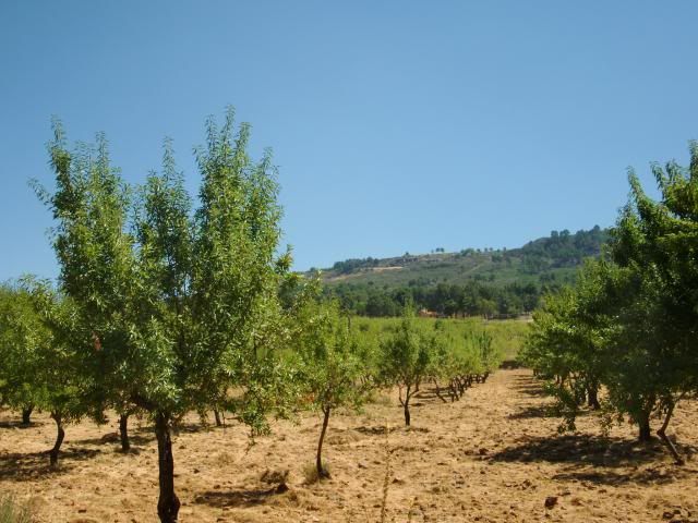 photo CIMG9303_zps904cb7a3.jpg