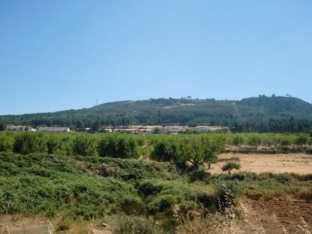 photo CIMG9306_zps16b5817c.jpg