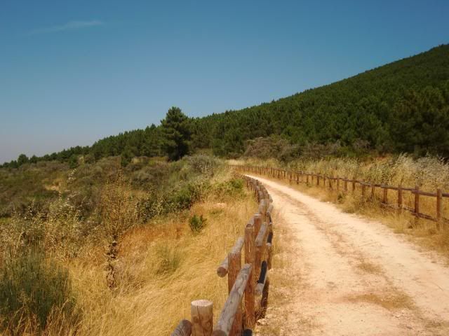 photo CIMG9307_zpsbf120d06.jpg