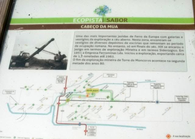 photo CIMG9308_zps40c7d300.jpg