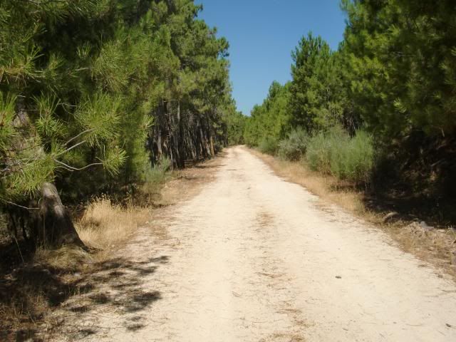 photo CIMG9309_zps35501fa6.jpg