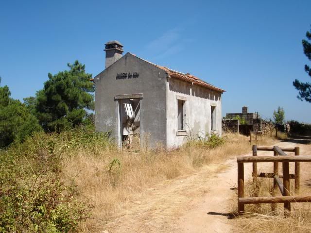 photo CIMG9311_zps4f192d91.jpg