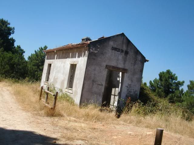 photo CIMG9312_zpsdbd6db76.jpg