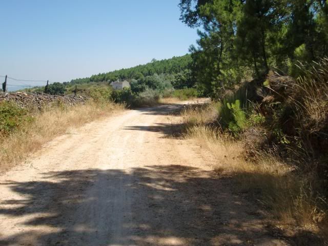 photo CIMG9313_zps6572df54.jpg