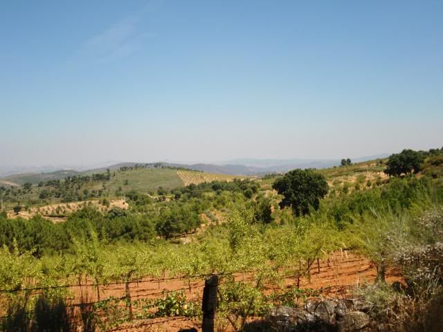 photo CIMG9314_zps26e723ed.jpg