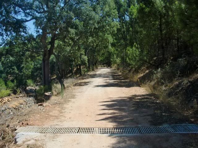 photo CIMG9315_zpsb057ab0a.jpg