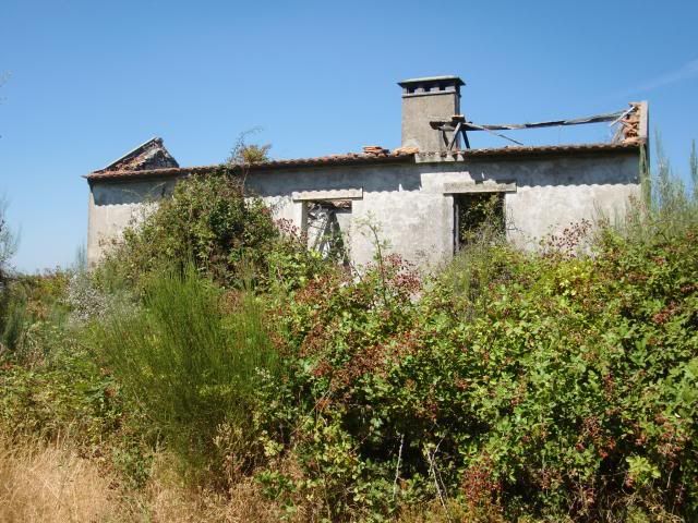 photo CIMG9316_zpsc3352eb0.jpg