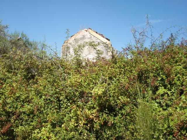 photo CIMG9317_zpsa3cf222f.jpg