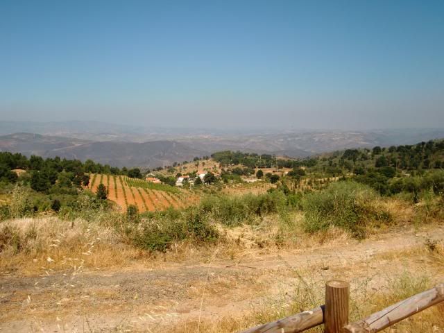 photo CIMG9319_zpsaba4f741.jpg