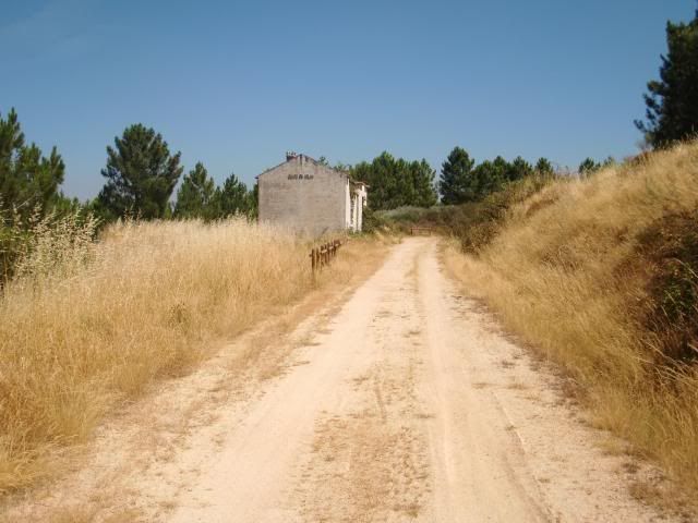 photo CIMG9324_zpsd5462f6b.jpg