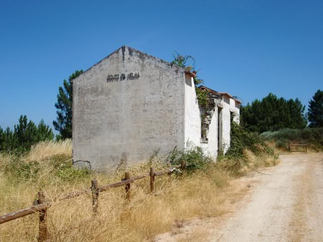 photo CIMG9325_zps469412a2.jpg