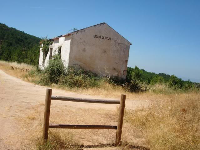 photo CIMG9326_zps2b4aa96f.jpg