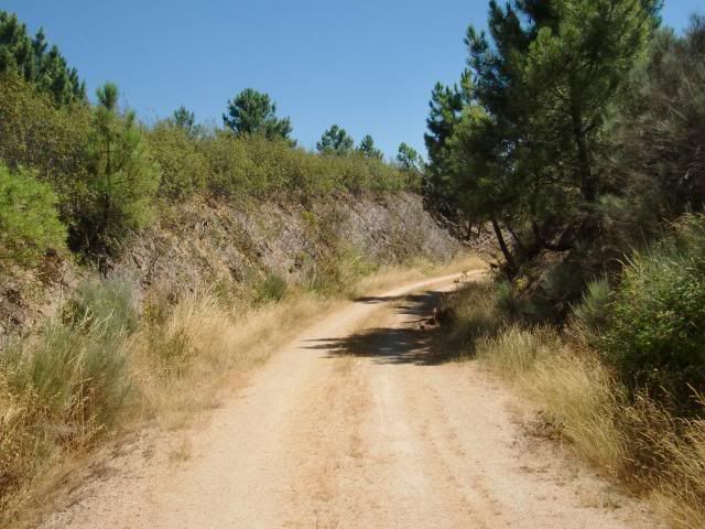 photo CIMG9327_zps8910bb4e.jpg