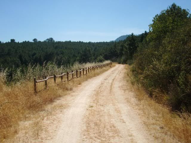 photo CIMG9328_zps845a6737.jpg