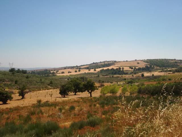 photo CIMG9329_zps71db05c3.jpg