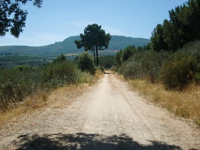 photo CIMG9330_zps3434e8fa.jpg