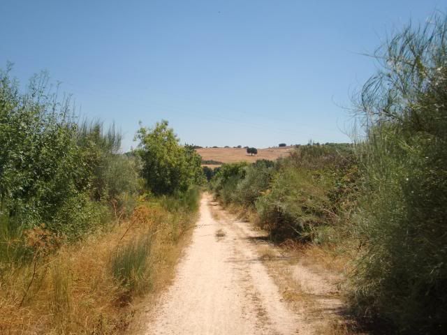 photo CIMG9332_zpsd487910b.jpg