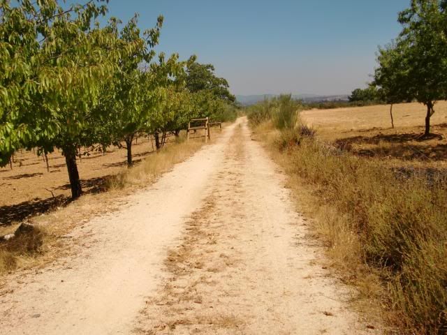 photo CIMG9333_zps20978689.jpg