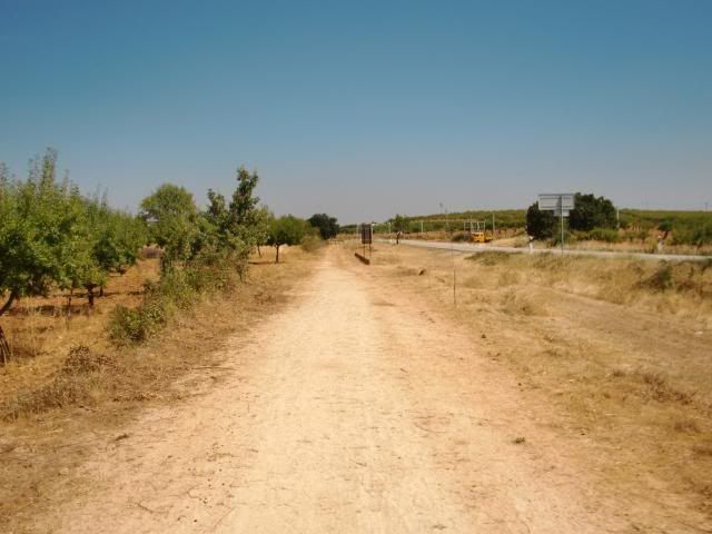 photo CIMG9334_zpsb3dbe313.jpg