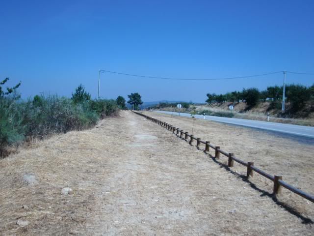 photo CIMG9335_zps90a62424.jpg