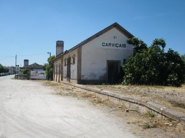 photo CIMG9341_zps760f6b79.jpg