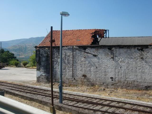 photo CIMG9352_zps48e4b77b.jpg