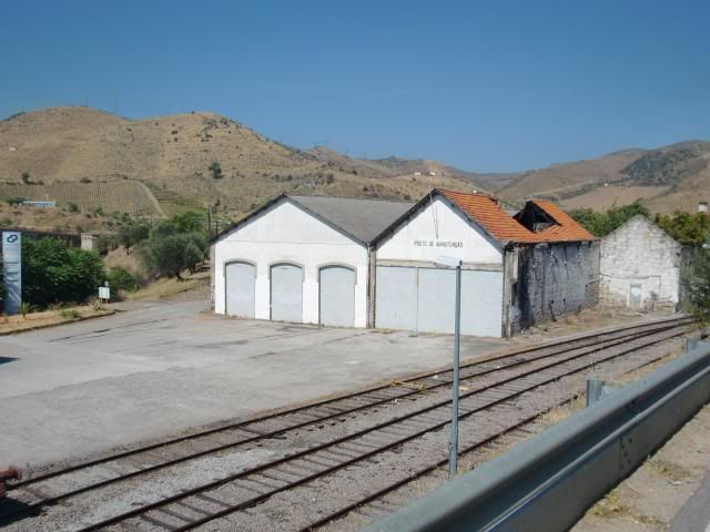 photo CIMG9354_zps8f43a4e5.jpg