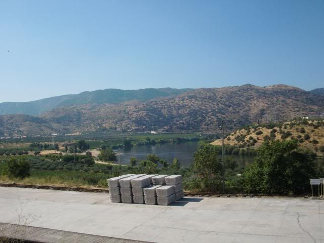 photo CIMG9355_zps54771b32.jpg