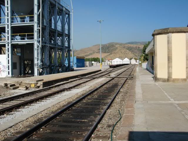 photo CIMG9361_zps51232b46.jpg