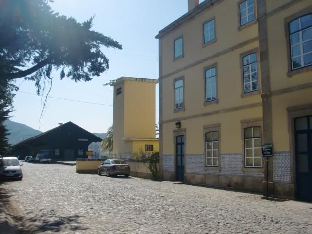 photo CIMG9363_zps7c2f6ae2.jpg