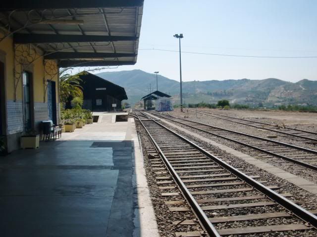 photo CIMG9368_zps34f0bd16.jpg