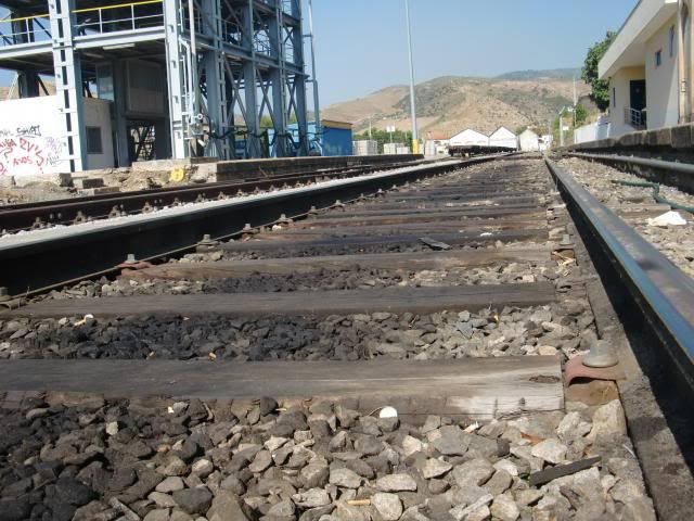 photo CIMG9370_zps9777cf61.jpg