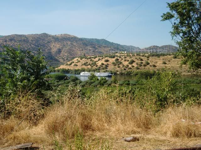 photo CIMG9372_zps396aa47a.jpg