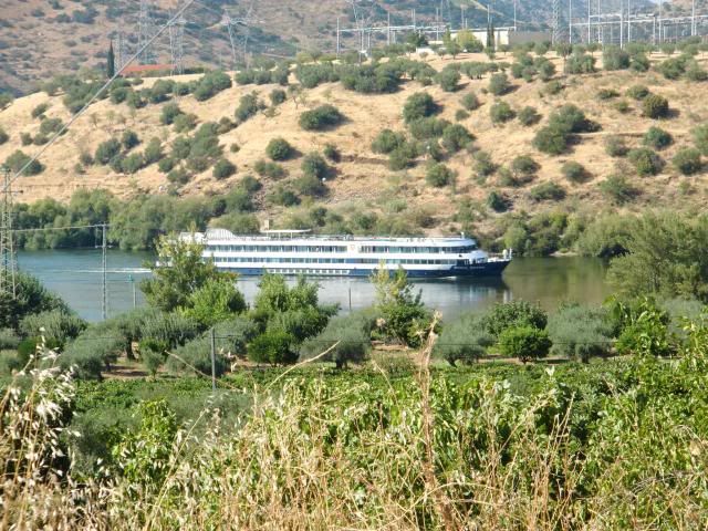 photo CIMG9373_zpsbfe3b91b.jpg