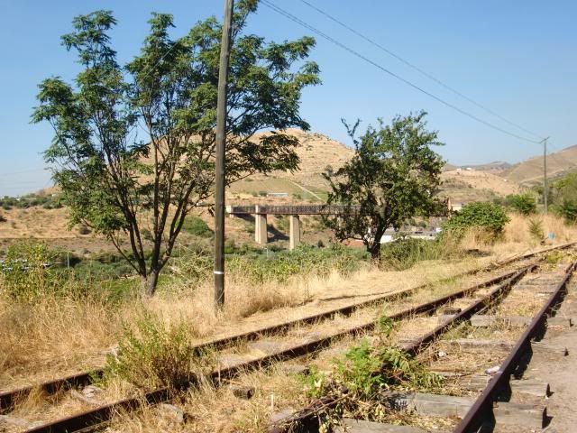 photo CIMG9376_zps5f7a99b5.jpg