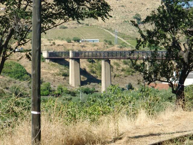 photo CIMG9377_zps6f04a8a2.jpg