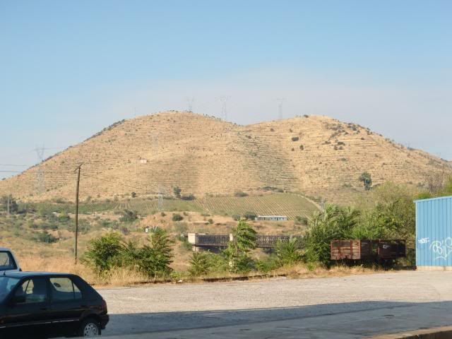 photo CIMG9378_zps0a98cb73.jpg